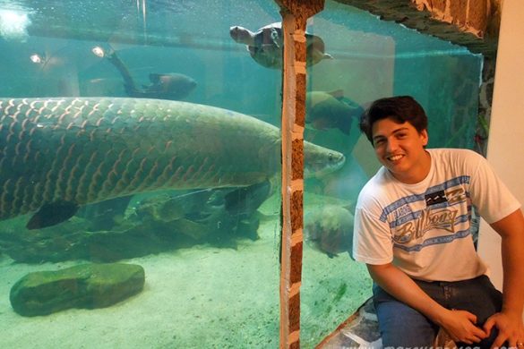 Ideia para um Aquário de Manaus