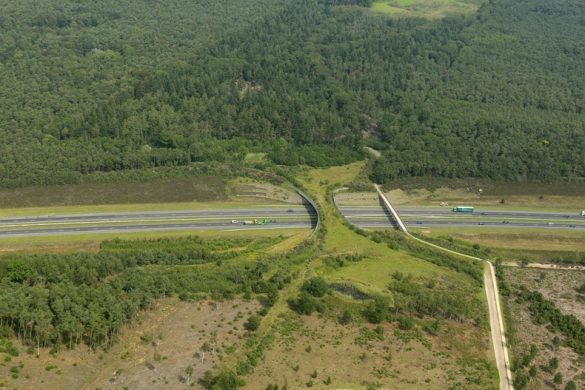 Natuurbrug Zanderij Crailoo