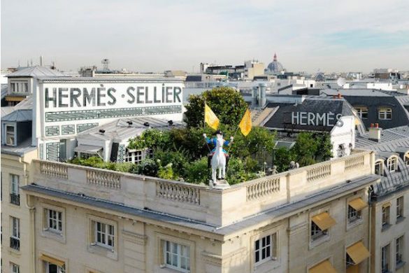 Regue esta ideia para ajudar o meio ambiente e a sociedade a colher os frutos de um futuro mais sustentável.