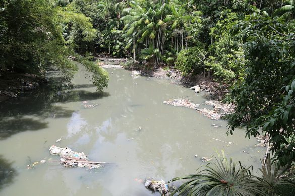 Igarapé do Mindu / Foto : Amazonas e Mais
