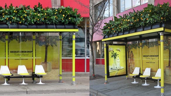 frutas cítricas no telhado verde desse ponto de ônibus | imagem: worthviral