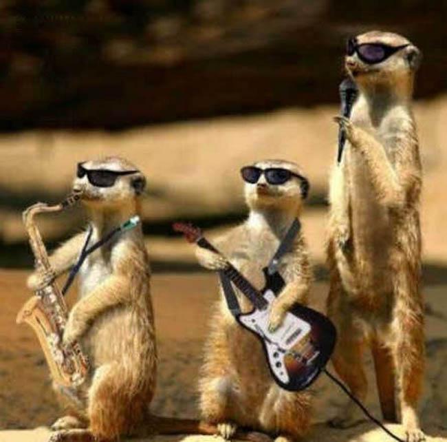 Imagens Criativas de Música