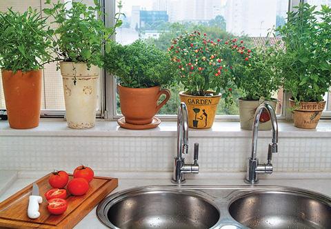 Horta para espaços pequenos