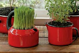 Horta para espaços pequenos