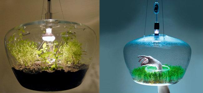 Horta para espaços pequenos