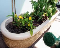 Horta para espaços pequenos