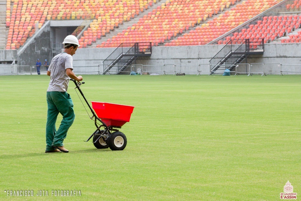 Trabalhos intensos para a grama do estádio ficar um verdadeiro tapete.