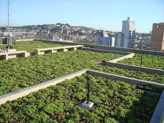 Telhados verdes