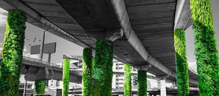 Colunas de viadutos transformadas em jardins verticais