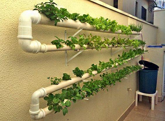 Confira como funciona o método de plantação criativa com hidroponia