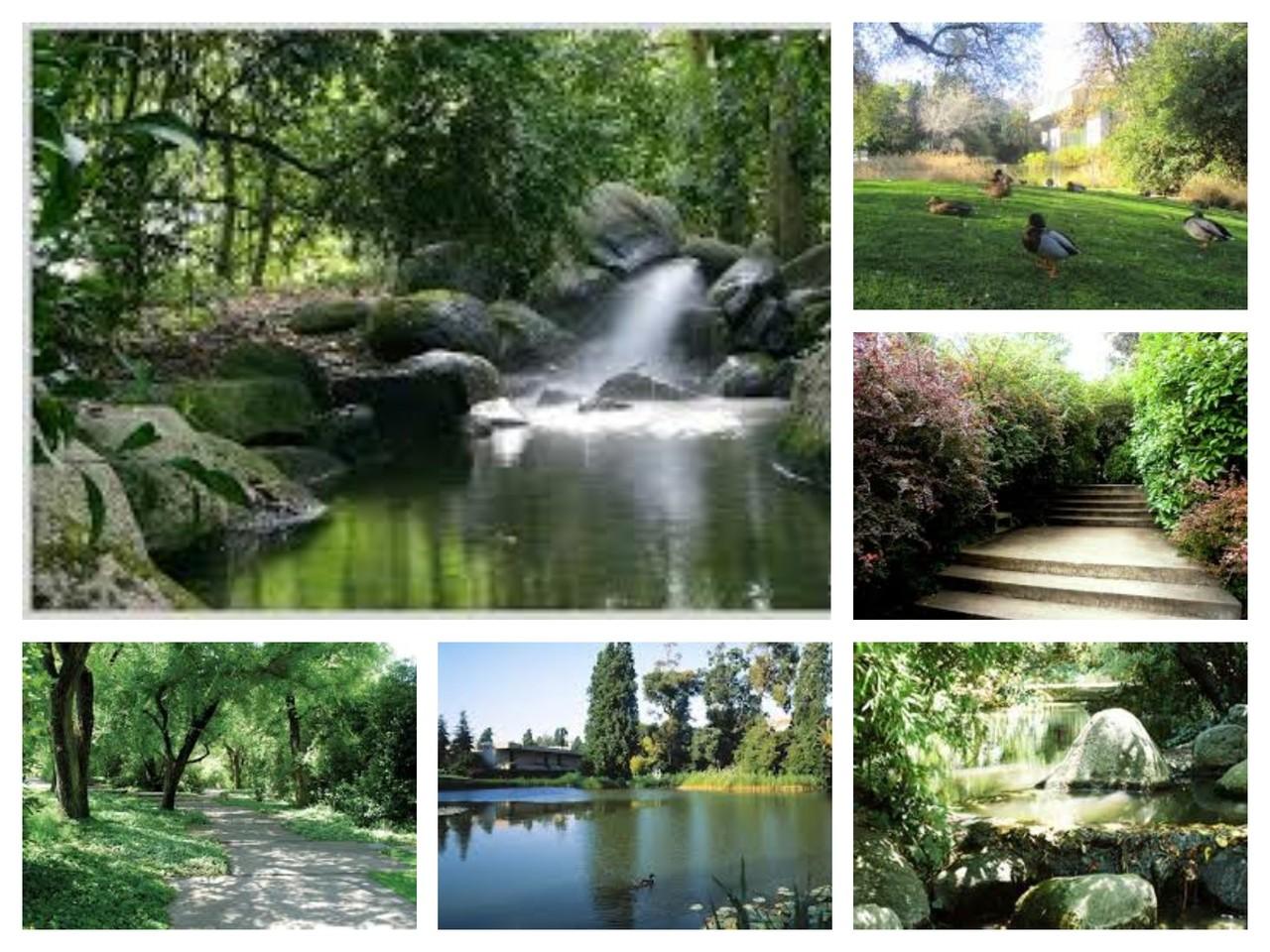Jardim da Fundação Calouste Gulbenkian