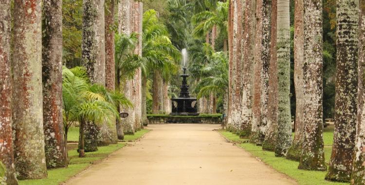Jardim Botânico do Rio de Janeiro