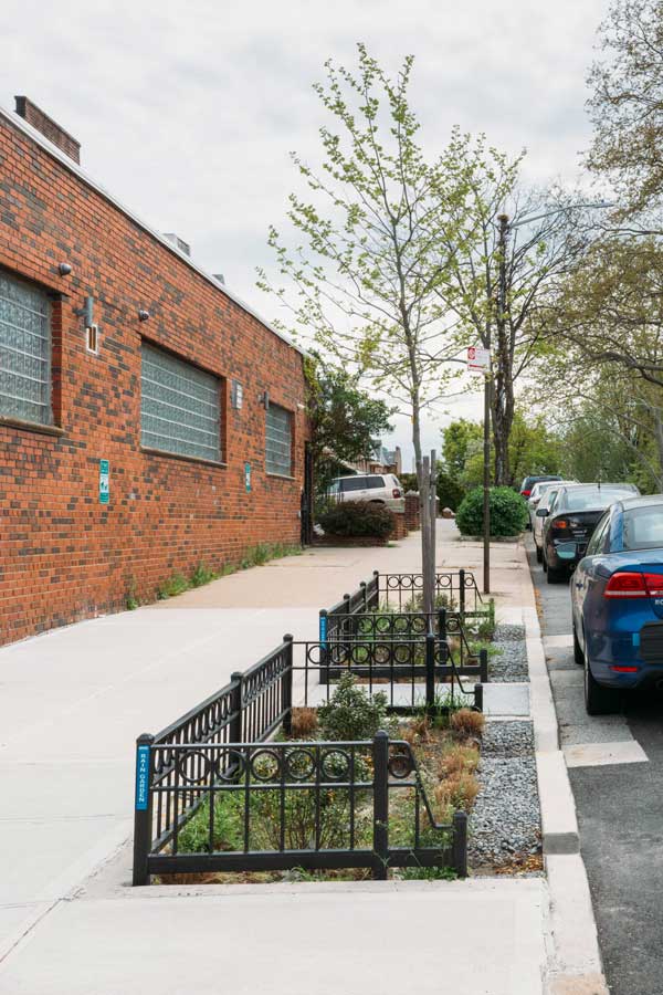 Um “jardim de chuva” instalado pelo Departamento de Proteção Ambiental de Nova York como parte de seu Programa de Infraestrutura Verde. / Foto : Jules Slütsky and Ginger Strand