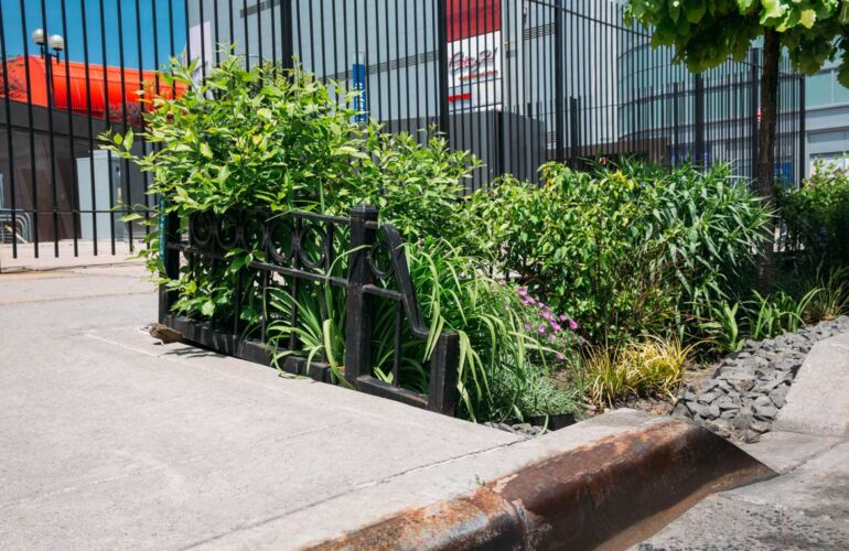 'Jardins de Chuva' para diminuir o impacto das águas pluviais nos esgotos como parte de um Programa de Infraestrutura Verde