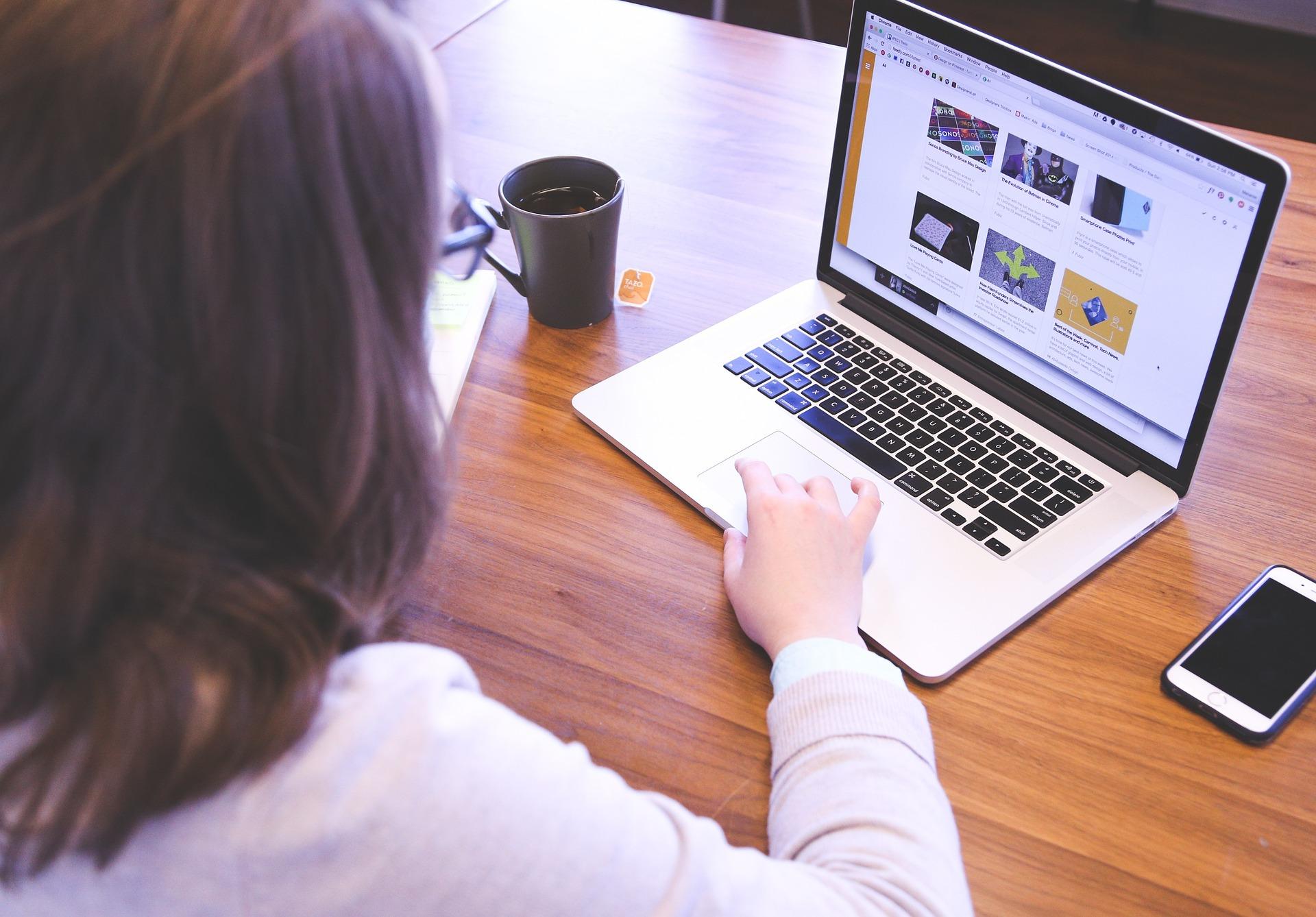Proteção das Mulheres na Internet / Foto : Divulgação Pixabay