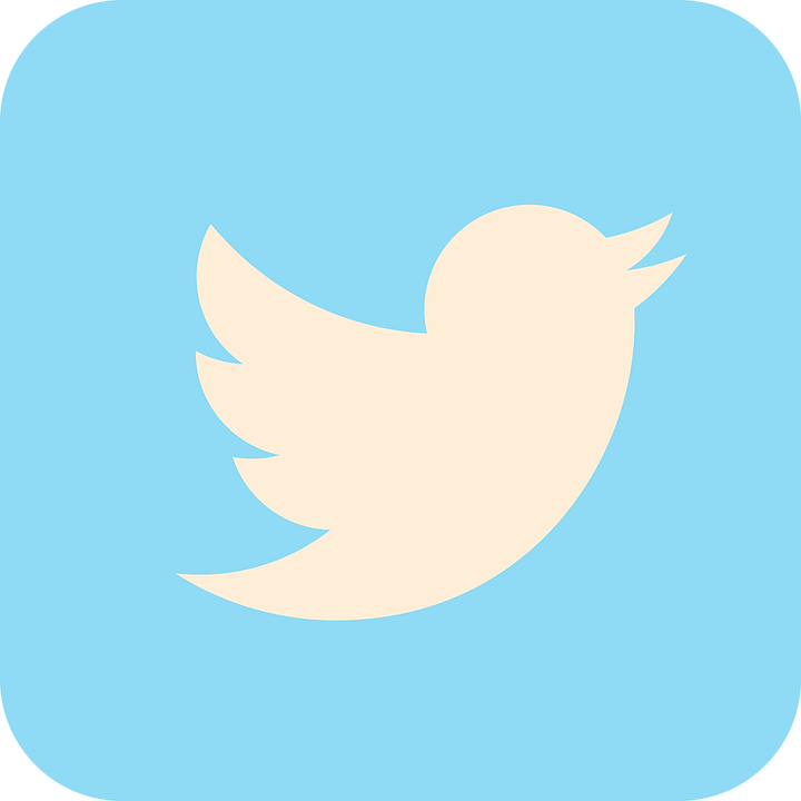 Logo Twitter /  Fonte da Imagem: