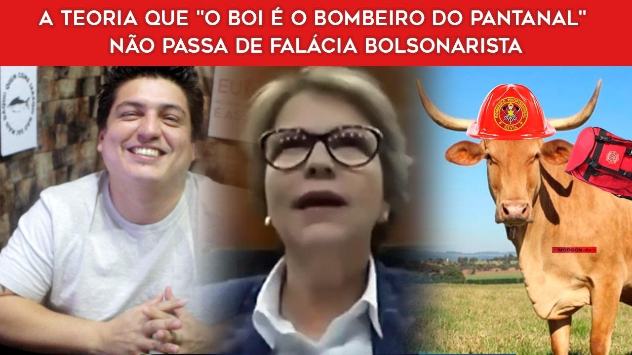 A teoria que "o Boi é o Bombeiro do Pantanal" não passa de falácia bolsonarista