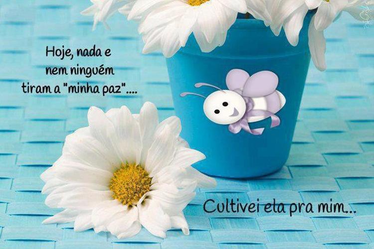 Mensagens de Boa Noite Para o Facebook