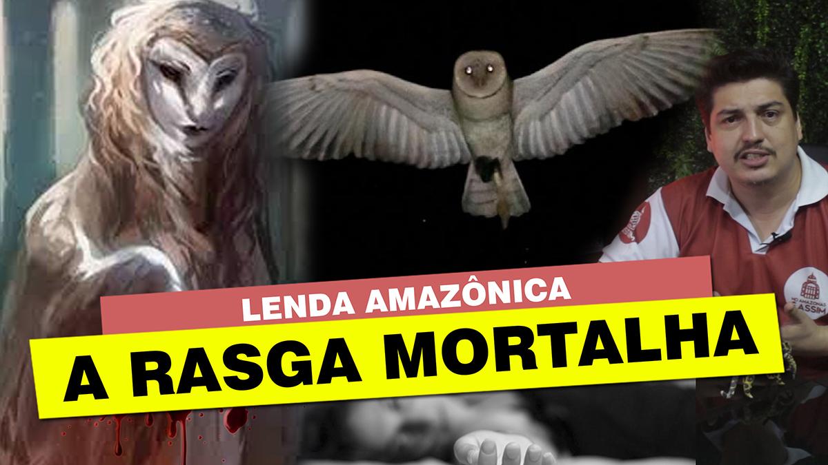 Coruja-das-torres é uma espécie que pertence a família dos titonídeos, também conhecida pelos nomes de coruja-da-igreja, coruja-branca, coruja-católica e rasga-mortalha.