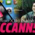 Raio-X da plataforma McCann55 Share