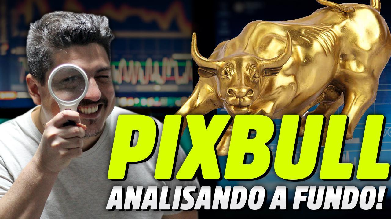 Analisando a fundo a PixBull