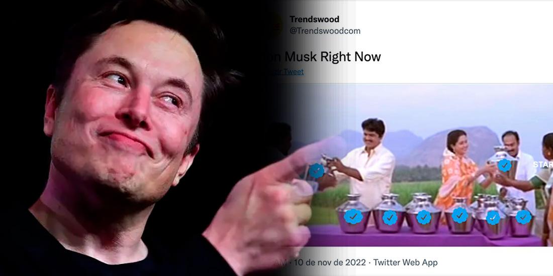 elon musk vira chacota ao vender selos verificados do twitter